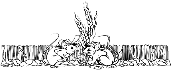 Agriculture Crops Farming Field Mice 003-0088  
